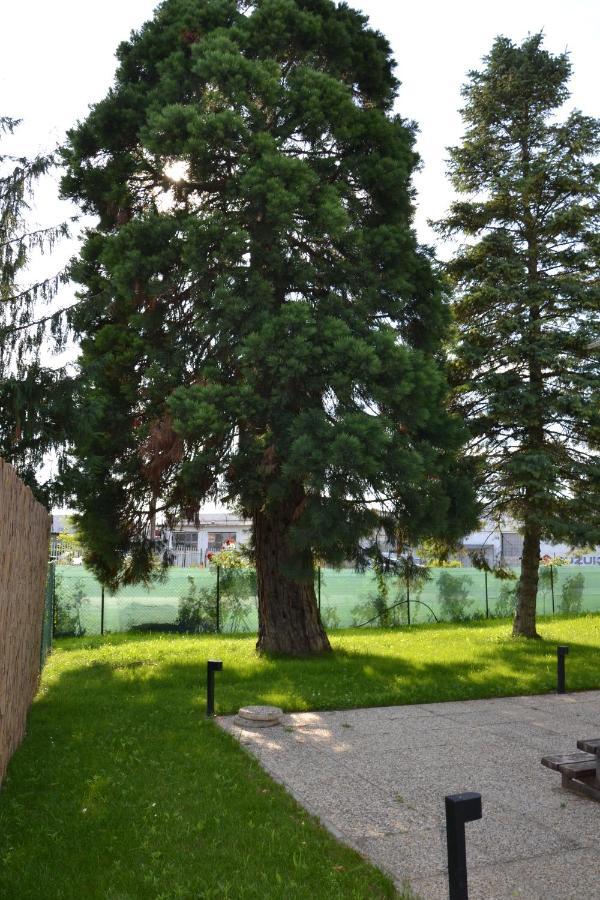 Akvamarin Apartman Keszthely Bagian luar foto